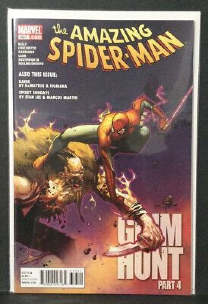 Amazing Spider-Man 637 cover