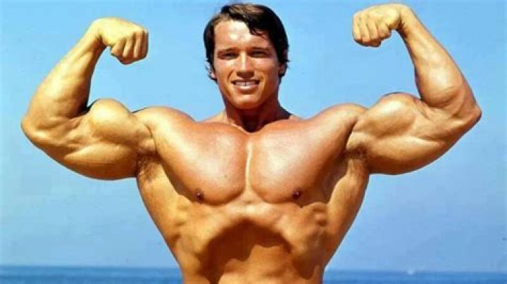 Arnold Schwarze... Biography