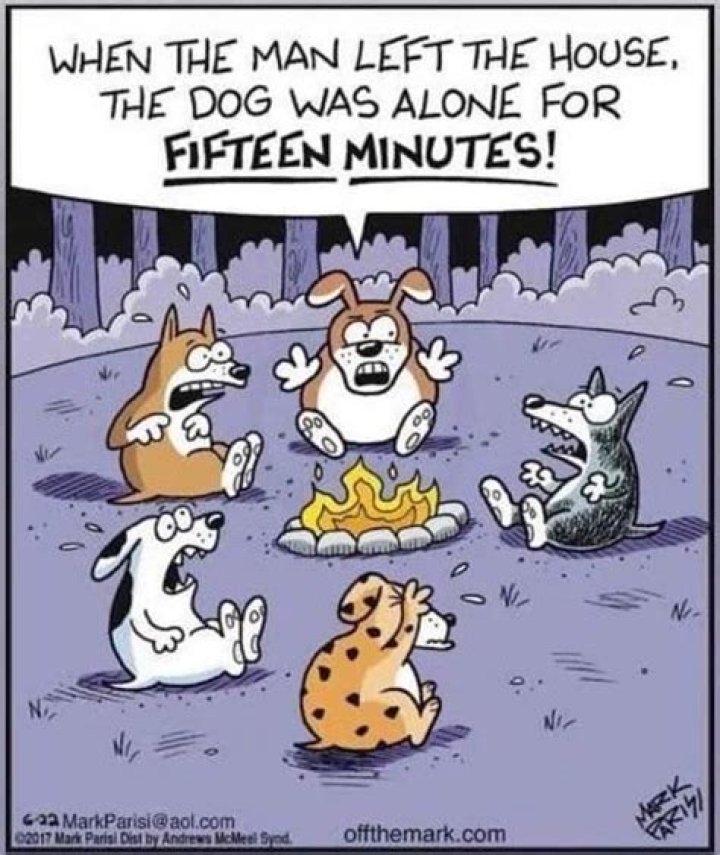 horror meme dogs