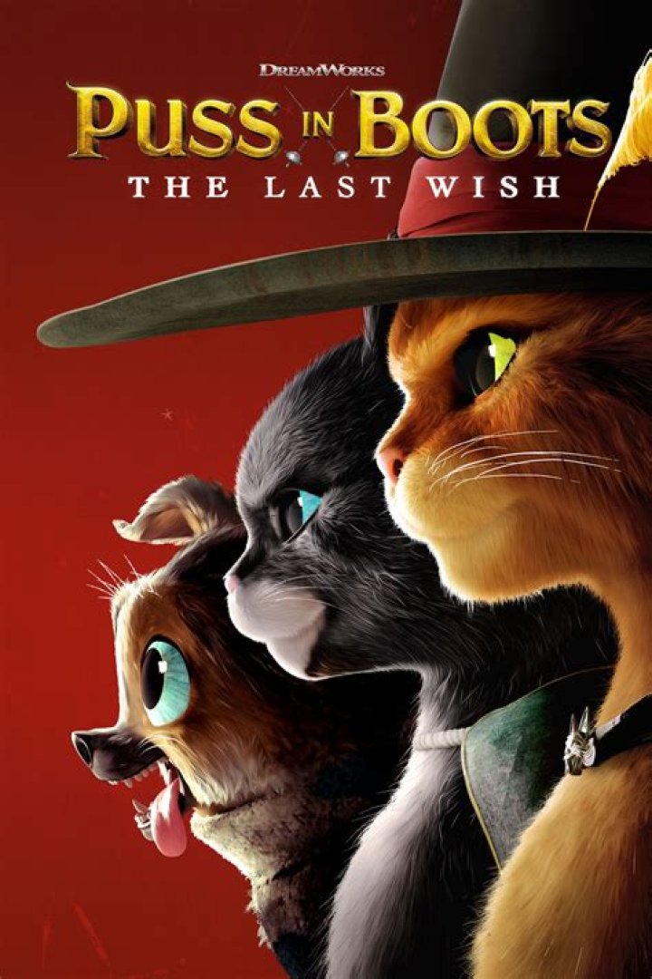 Puss in Boots The Last Wish Cute