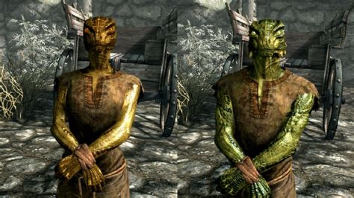 Skyrim races - Argonian