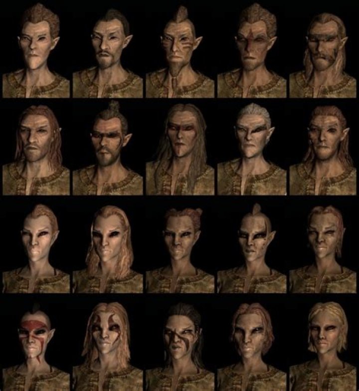 Skyrim races - Bosmer