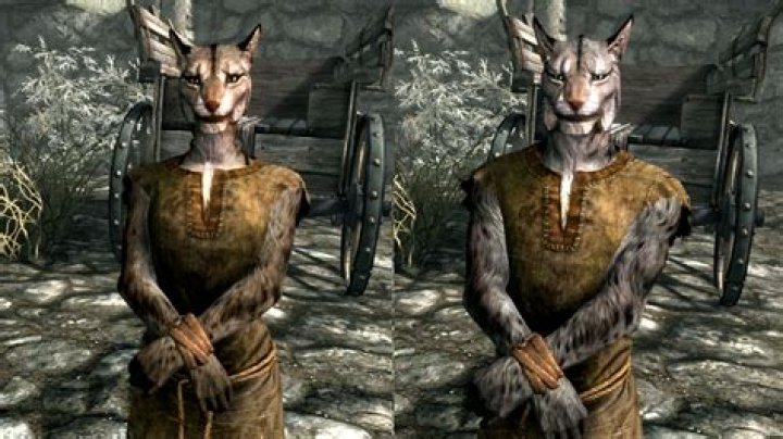 Skyrim races - Khajiit