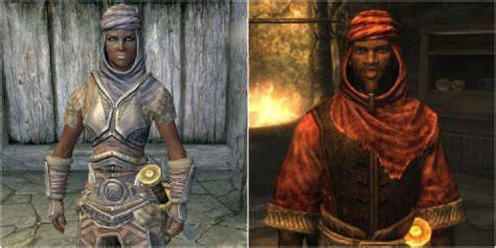 Skyrim races - Redguard