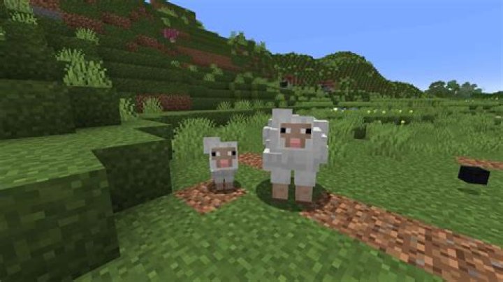 Three sheep from Minecraft