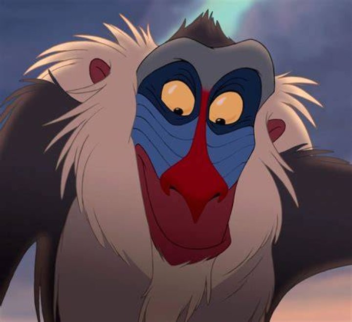 What animal is Rafiki from Lion King?