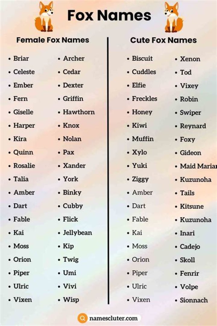 What are some fox names? – Celebrity