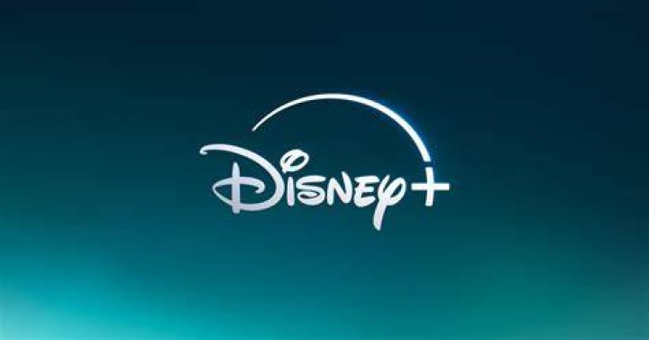 What is in the Disney intro?